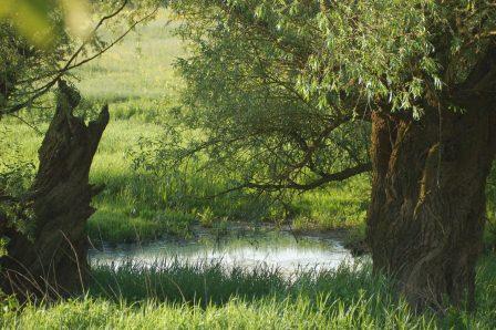 Knobleharjevo 2012 - Fotografski natečaj Občine Škocjan 2012 10